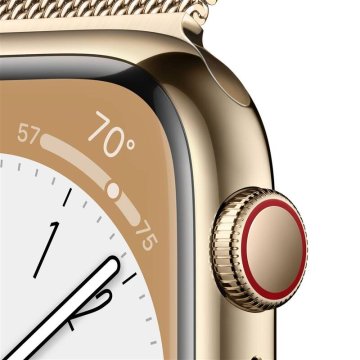 Apple Watch Series 8 Cellular 41mm zlatá ocel se zlatým milánským tahem