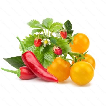 Click and Grow Mix ovoce a zeleniny, kapsle se semínky a substrátem 9ks