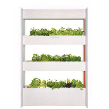Click and Grow Wall Farm + Salad & Herbs Kit Bundle