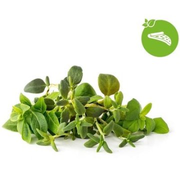 Click and Grow Mix Italských bylin, kapsle se semínky a substrátem 9ks