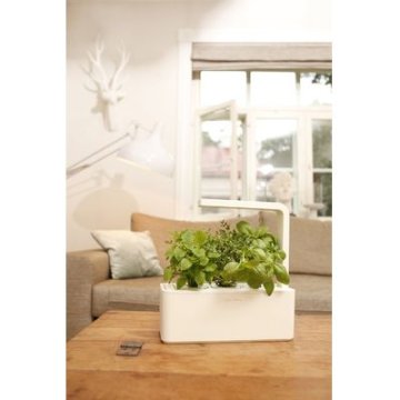 Click and Grow Smart Garden 3 chytrý květináč + 3ks kapslí se semínky bazalky, bílý