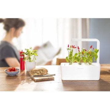 Click and Grow Smart Garden 3 chytrý květináč + 3ks kapslí se semínky bazalky, bílý
